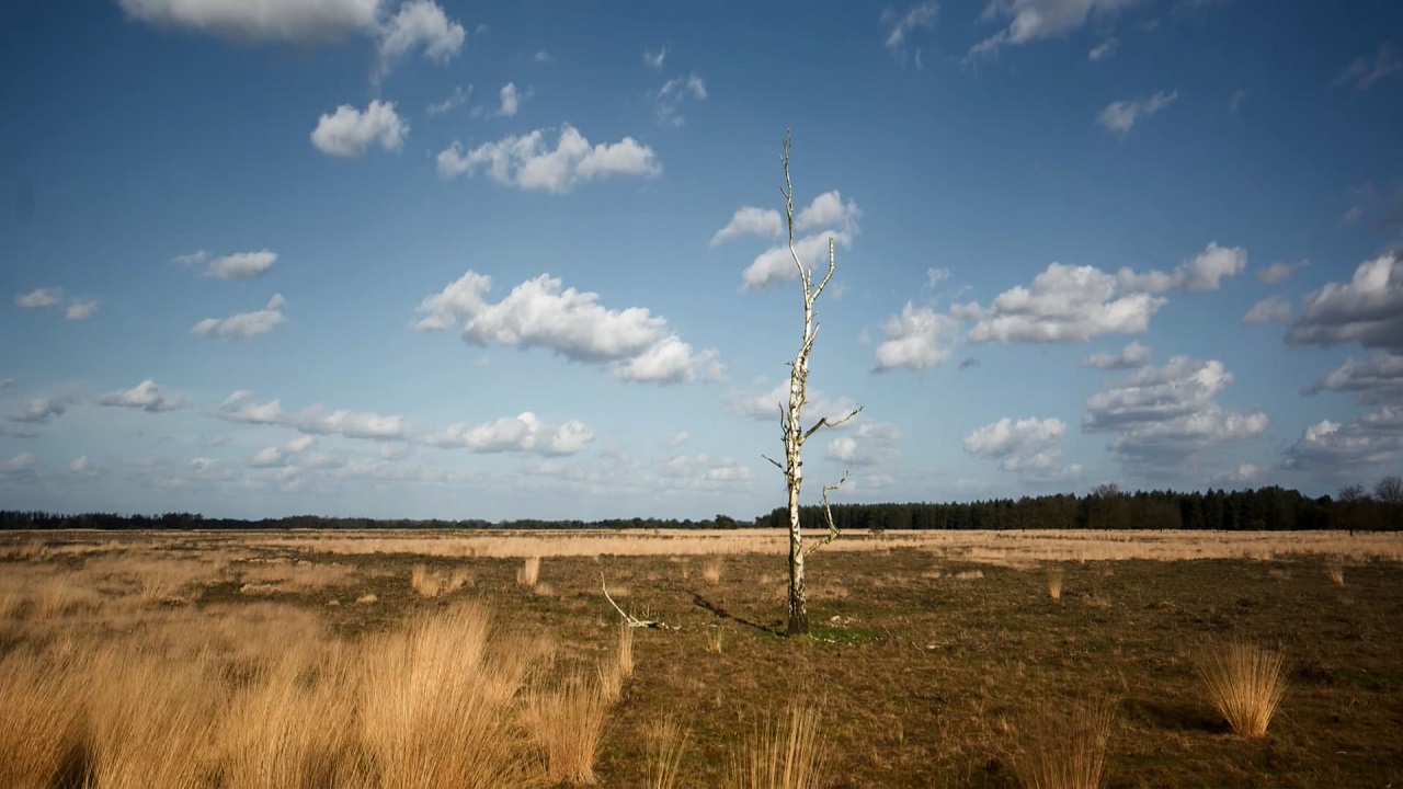 《荷兰天空》集大师四个月的拍摄结果