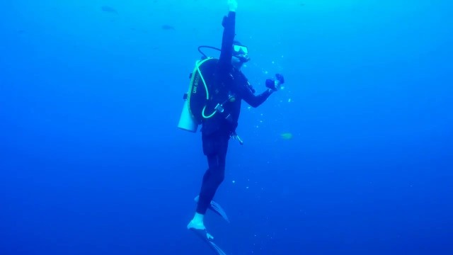 深度潜水俱乐部 -《潜水旅程 篇》
