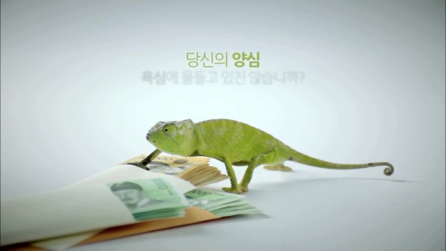 Kobaco韩国放送广告公社 《动物篇》
