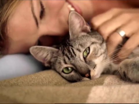 Naturals猫粮 -《猫咪篇》- Go East Films制作