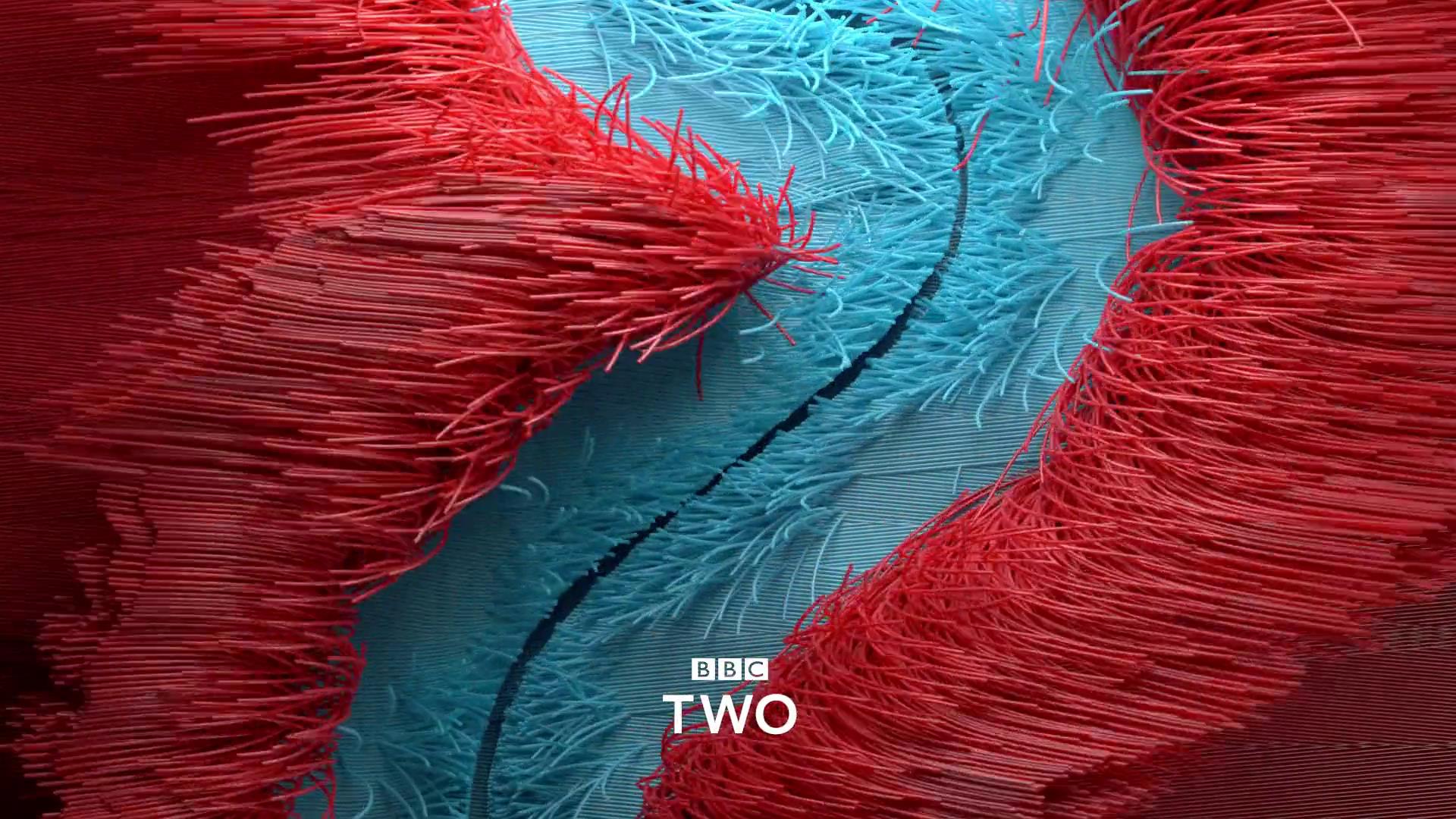 BBC2电视台台标 《BBC Two》