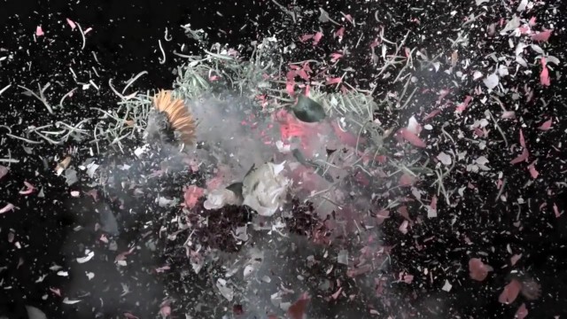 高速摄影创意短片 《鲜花炸裂》
