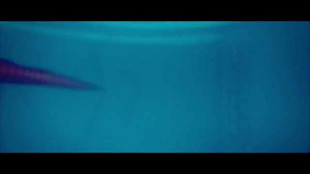 奥星卓越 -《大脚鱼游泳俱乐部》
