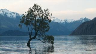 《瓦纳卡肖像》新西兰瓦纳卡湖影响计划纪实