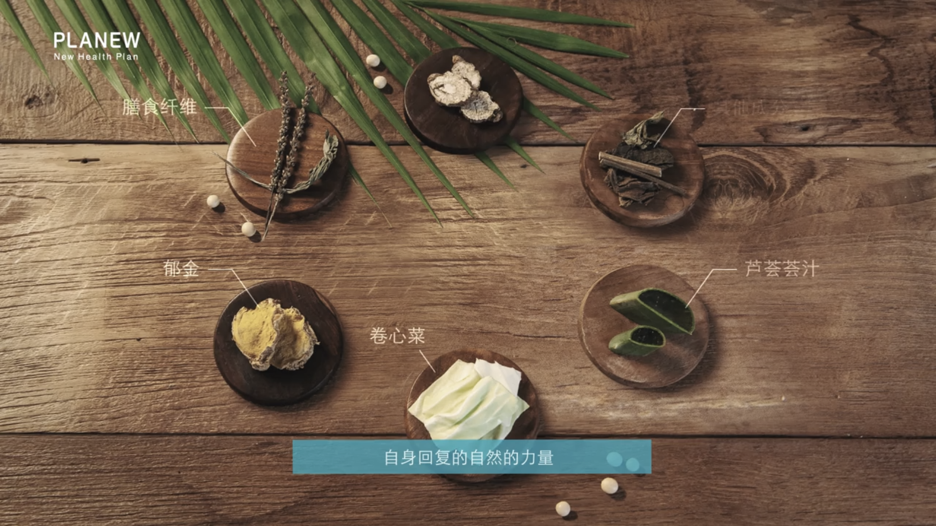 韩国乳酸菌发酵食品, 轻松的PLANEW 