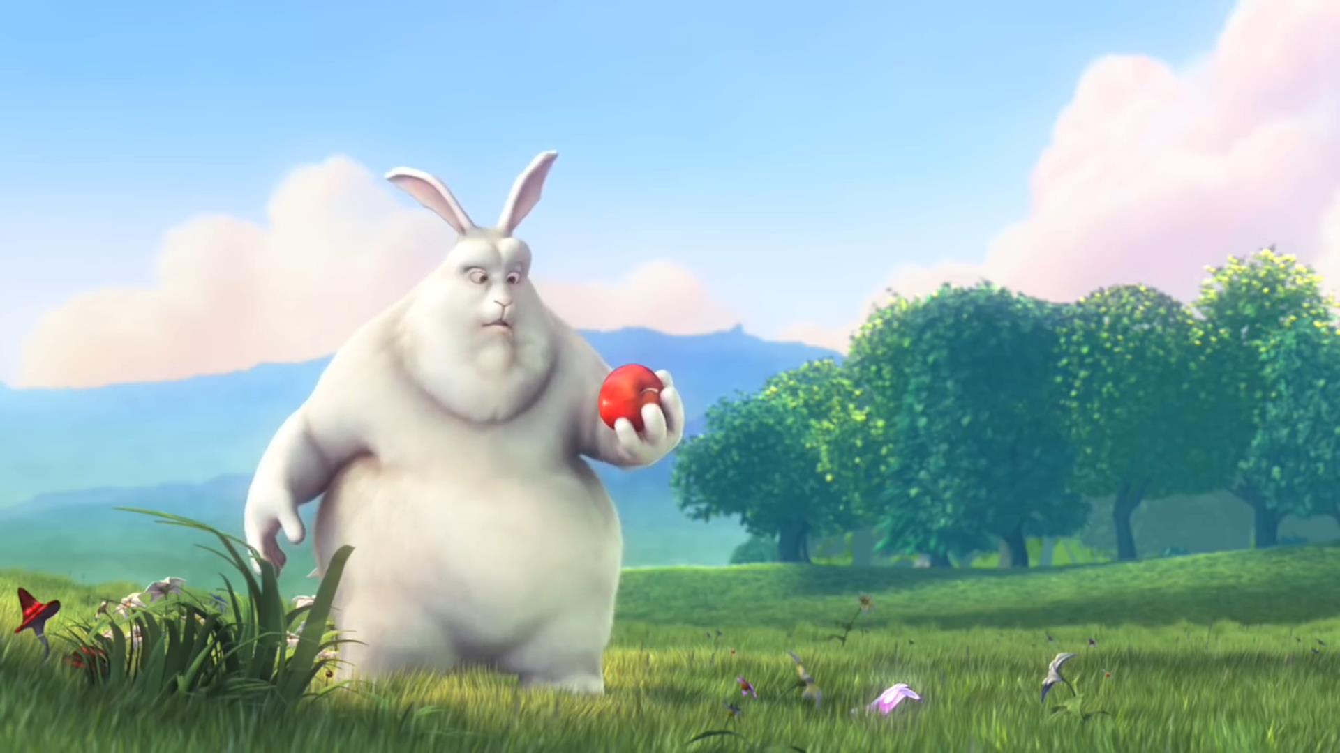 Big Buck Bunny荷兰动画电影节动画短片