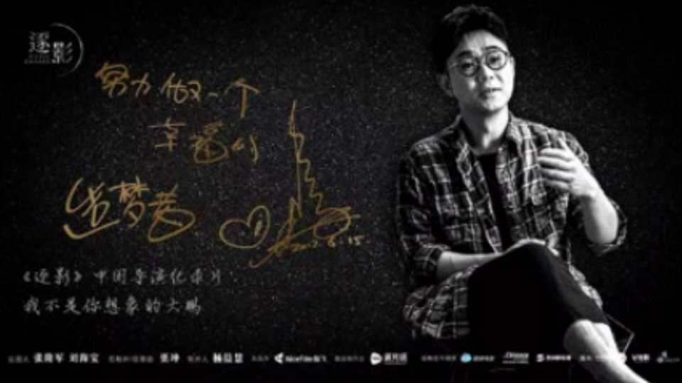 中国导演系列纪录片《逐影•我不是你想象的大鹏》