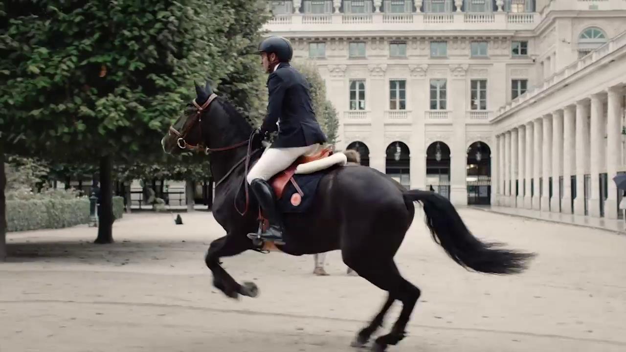 Hermès爱马仕马具 《Horse in the city》